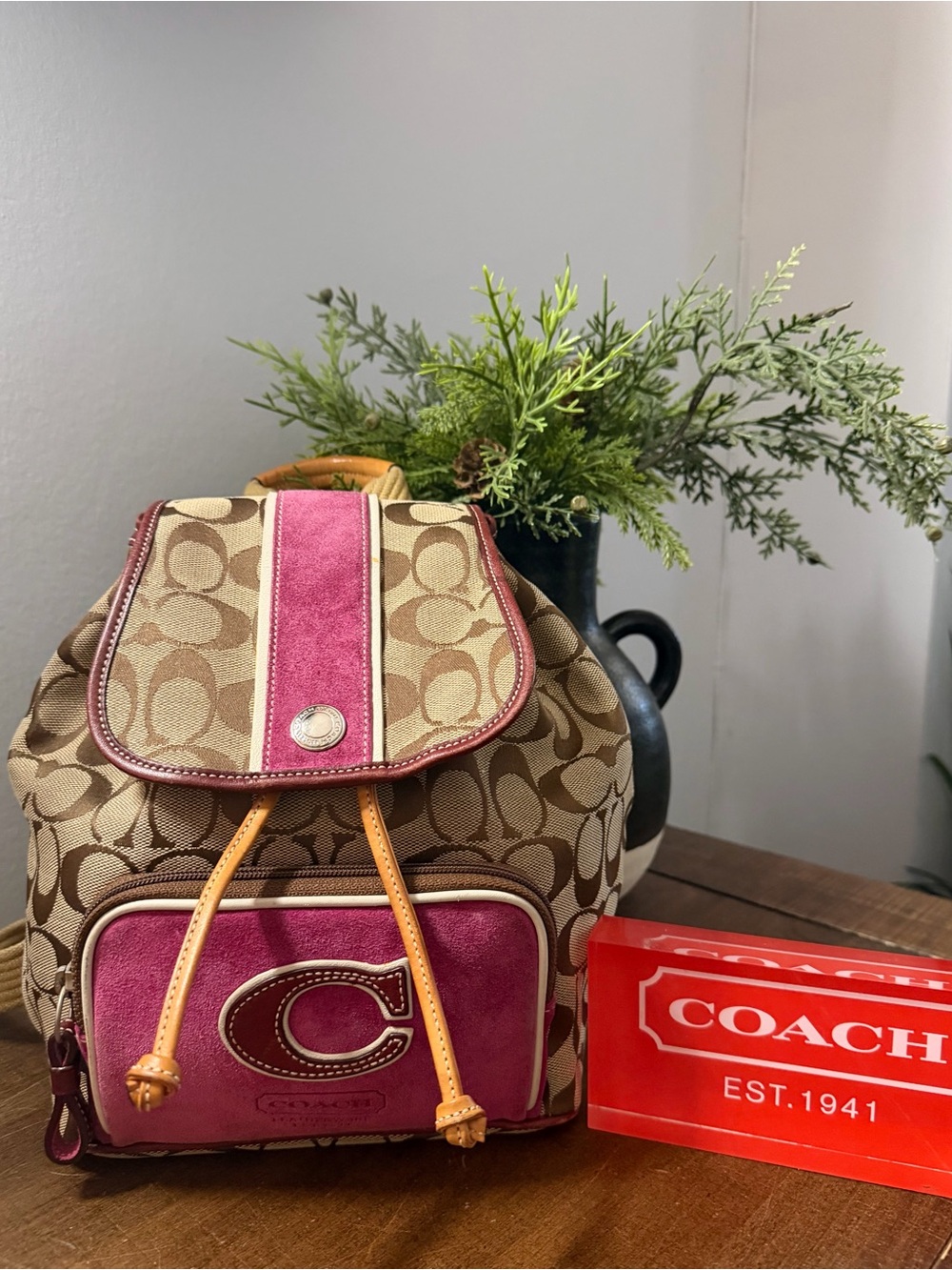 Coach Y2K Rare Signature Monogram & Suede Backpack